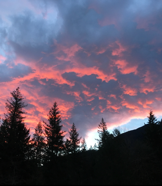 43DDB189-ADD2-4167-89FD-928B42DF89A2