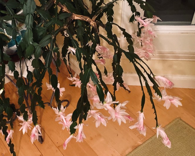 4A403F71-69CB-412E-9EAF-F503AB6E5204